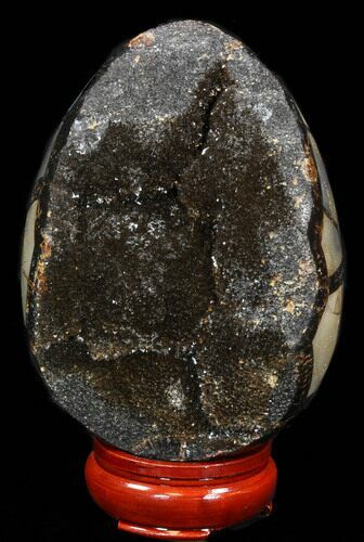 Septarian Dragon Egg Geode - Black Calcite Crystals #34699